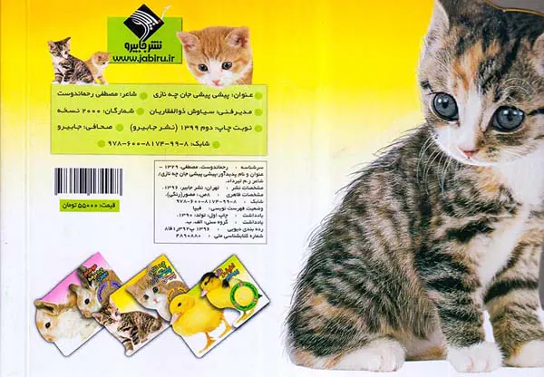 لمس می کنم حس می کنم و می گویم پیشی پیشی جان چه نازی